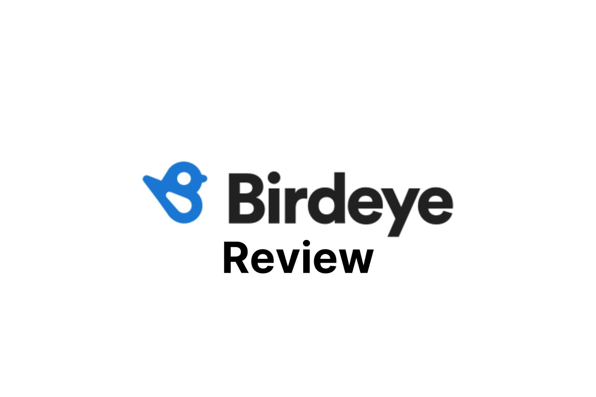 Review of Birdeye