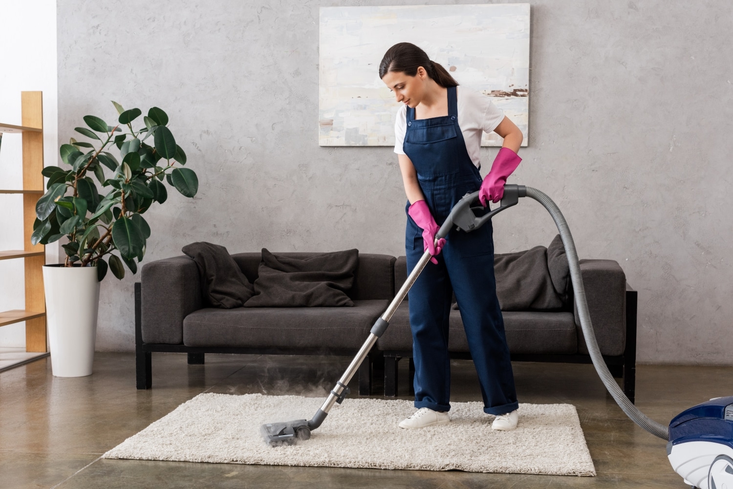 Lead Carpet Cleaner Job Description Template