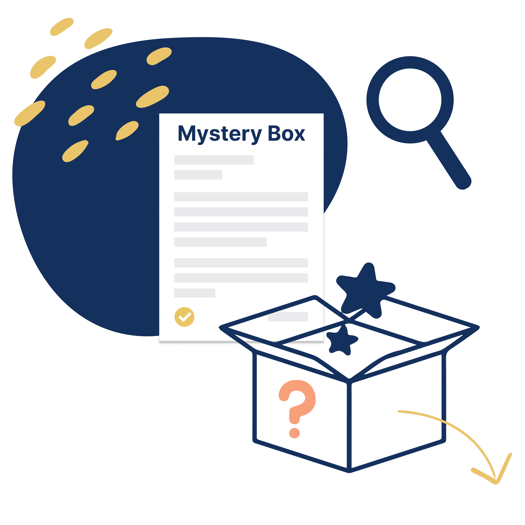 Hr Mystery Box Lm